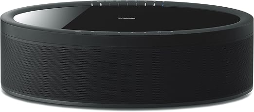 20250413Yamaha WX-051_03